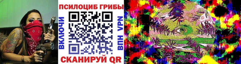 продажа наркотиков  даркнет Telegram  Псилоцибиновые грибы Psilocybine cubensis  Черногорск  ОМГ ОМГ tor 